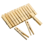 Prendedor De Roupas Em Madeira | 24 Un | Kaztec